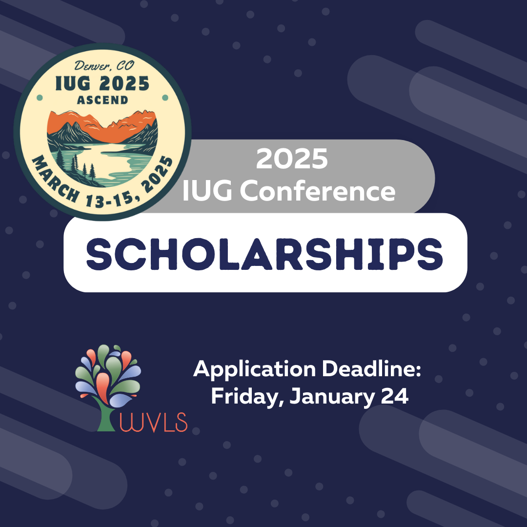 IUG Scholarships with deadline of January 24