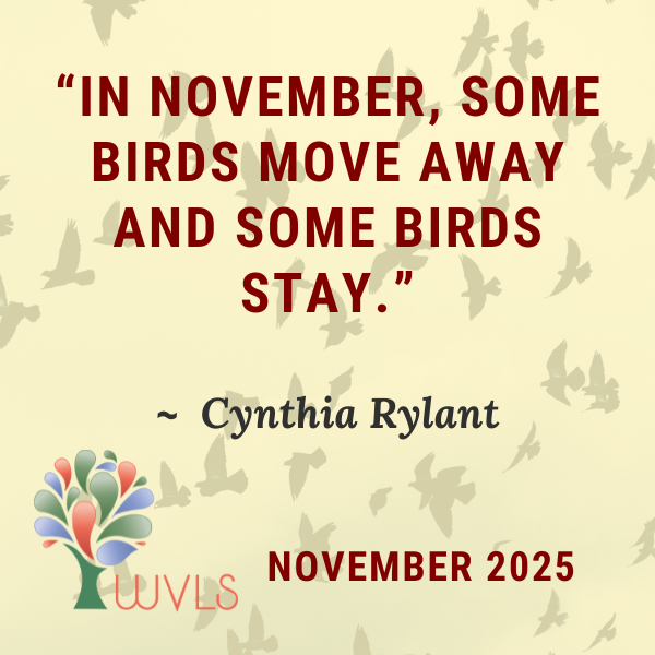 Text: In November, some birds move away and some birds stay. WVLS November 2025 Newsletter